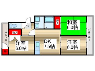 ウィステリア801の物件間取画像